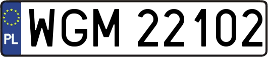 WGM22102