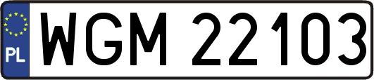 WGM22103