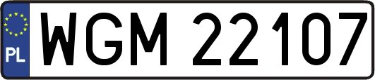 WGM22107