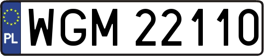 WGM22110