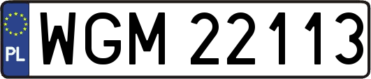 WGM22113