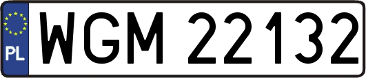 WGM22132