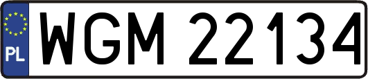 WGM22134