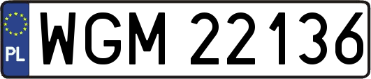 WGM22136