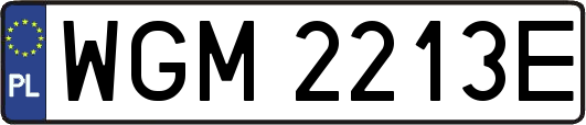 WGM2213E