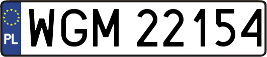 WGM22154
