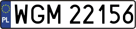 WGM22156