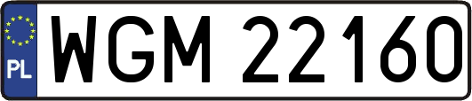 WGM22160