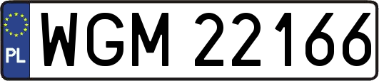 WGM22166