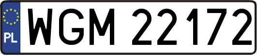 WGM22172