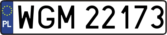 WGM22173