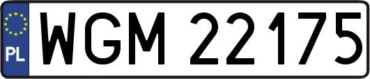 WGM22175