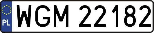 WGM22182