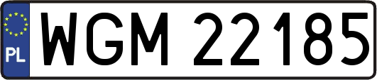 WGM22185