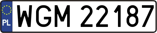 WGM22187