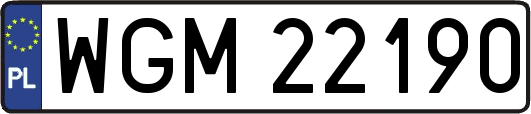 WGM22190