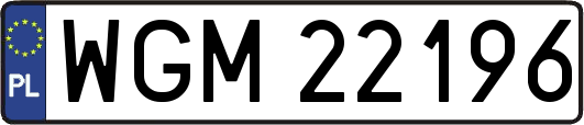 WGM22196