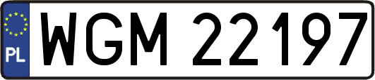WGM22197