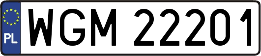 WGM22201