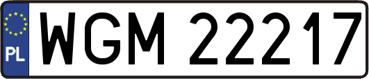 WGM22217