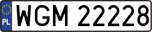 WGM22228