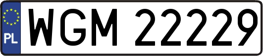 WGM22229