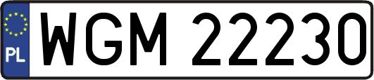 WGM22230