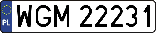 WGM22231