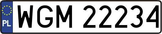 WGM22234