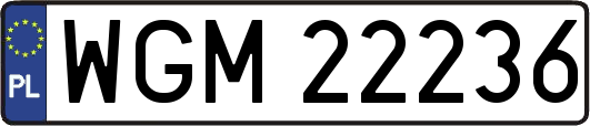 WGM22236
