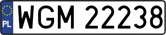 WGM22238