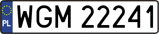 WGM22241