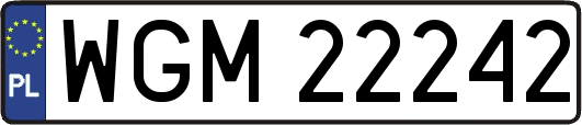WGM22242