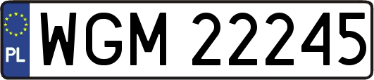 WGM22245