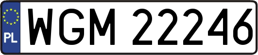 WGM22246