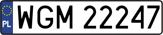 WGM22247