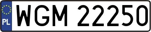 WGM22250