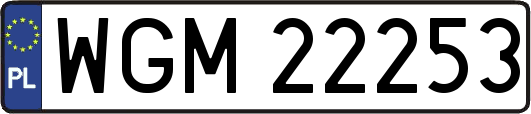 WGM22253
