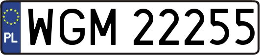 WGM22255