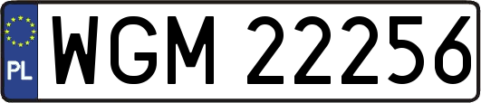 WGM22256
