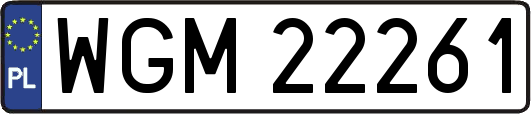 WGM22261