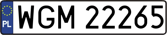 WGM22265
