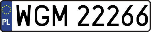 WGM22266
