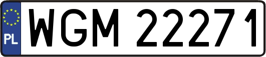 WGM22271