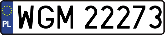 WGM22273