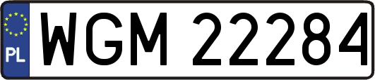 WGM22284