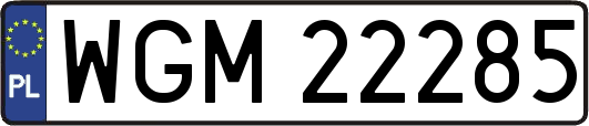 WGM22285
