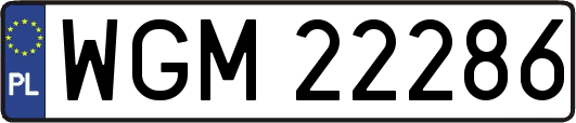 WGM22286