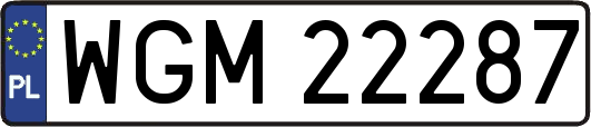 WGM22287