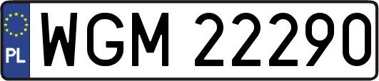 WGM22290